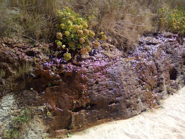 Praia da Galé - Fontainhas