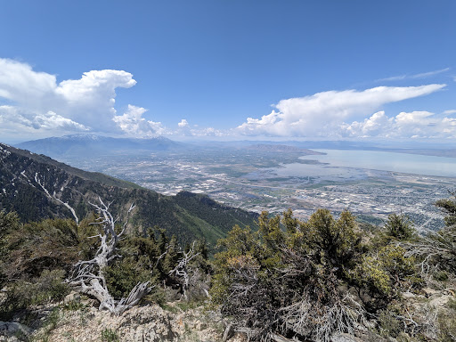 Maple Mountain - Visual