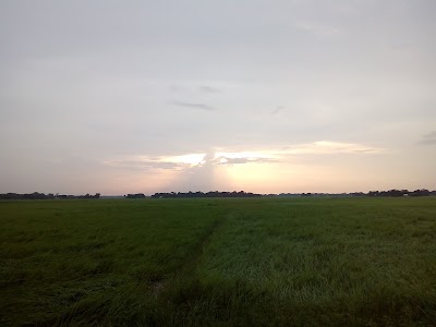 Photos of Domra Kandi (D K)