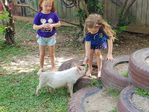 Natural Beginnings Childcare - Thumbnail