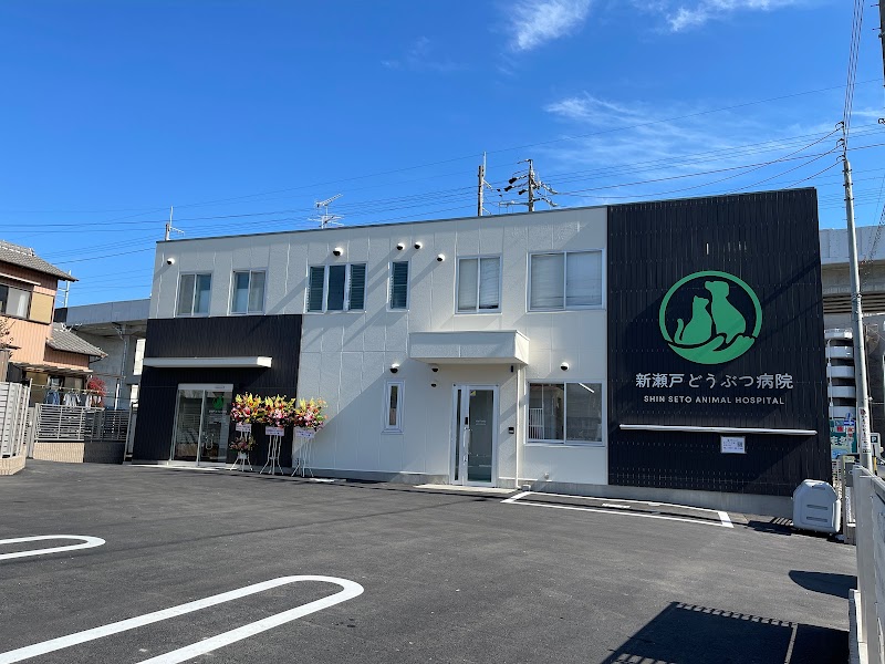 新瀬戸どうぶつ病院
