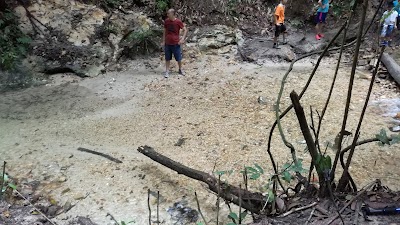 photo of Hutan Simpanan Ayer Hitam