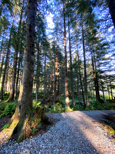 Nirvana Park - Visual