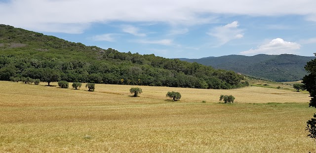 Cala Violina Spiaggia