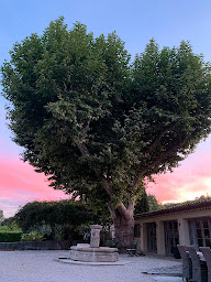 Photo n°66 de L’Evidence à Chantemerle-lès-Grignan (Bar)