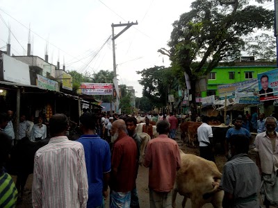 Photos of Raipur cattel market