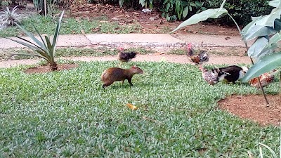 Photos of La Purruja Lodge