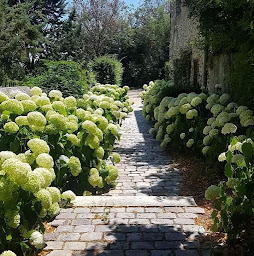 Photo n°12 de Aide Au Jardin à Montélimar (Paysagiste)