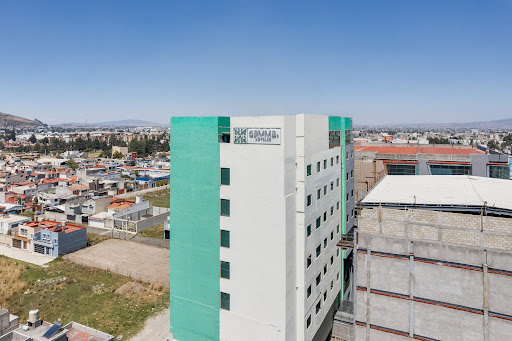 Gamma Toluca