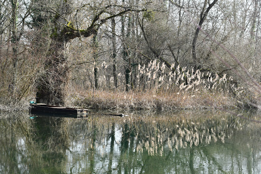 Réserve naturelle nationale de la forêt d'Offendorf - Thumbnail