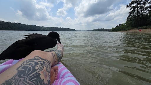 Lake Greeson, Daisy State Park Gallery - United States
