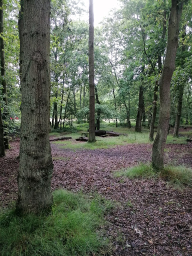 Riffhams Essex North East Girlguiding