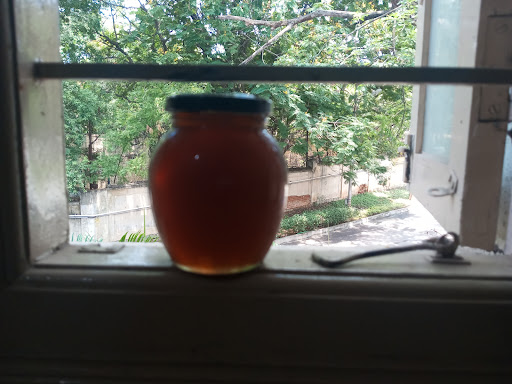 Gallery image 7