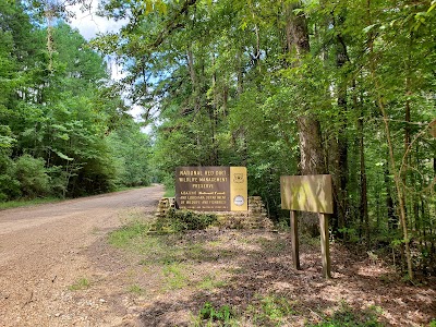 Kisatchie Hills Wilderness