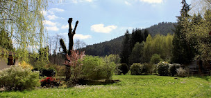 Photo n°3 de Gruppen - Ferienhaus - Vogesen à Taintrux (Agence de location de maisons de vacances)