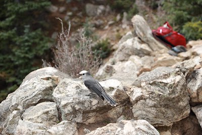 Pecos Wilderness