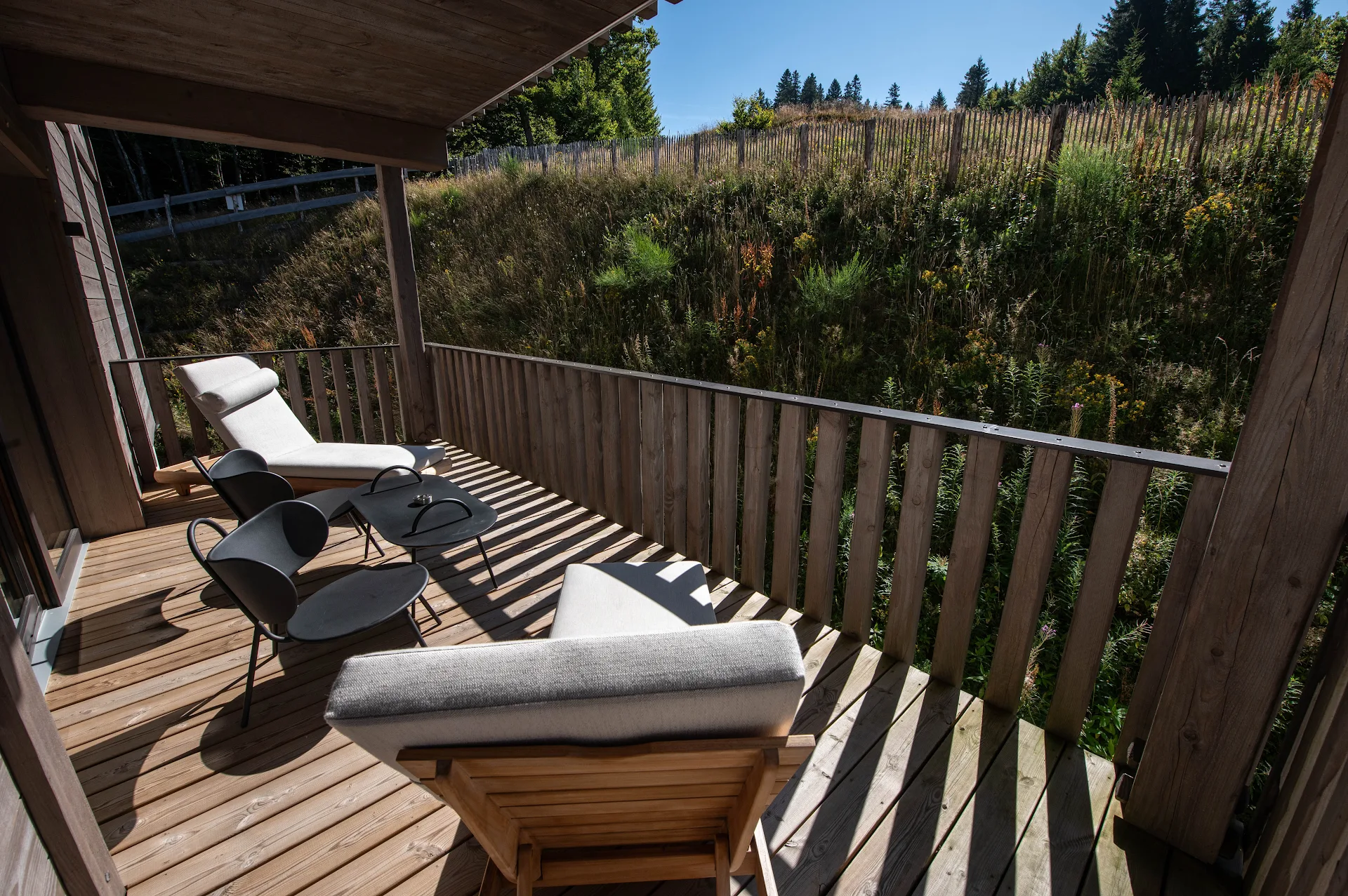Chalet Hôtel Le Collet & Spa - Table de Montagne