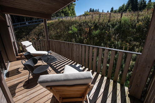 Photo of Chalet Hôtel Le Collet & Spa - Table de Montagne