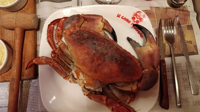 Crabe Marteau