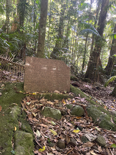Westray's Grave - Visual