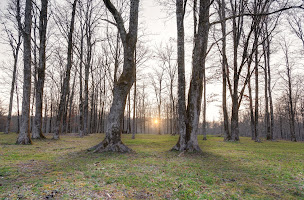 Photo n°5 de Domaine de Ballerand à Marval (Terrain de chasse)