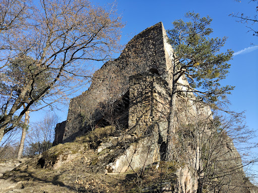 Greinfenstein Castle - Thumbnail