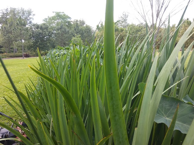 Shangri La Botanical Gardens and Nature Center