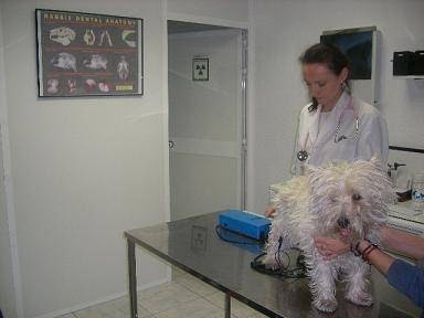 Veterinarian Doctor Esquerdo Center