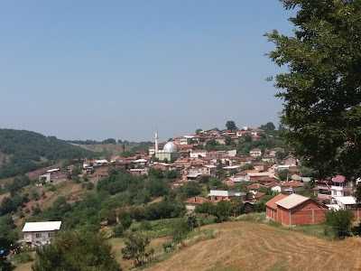 Şehriman Mahallesi Cami