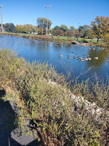 Kimball Hill Park - Thumbnail