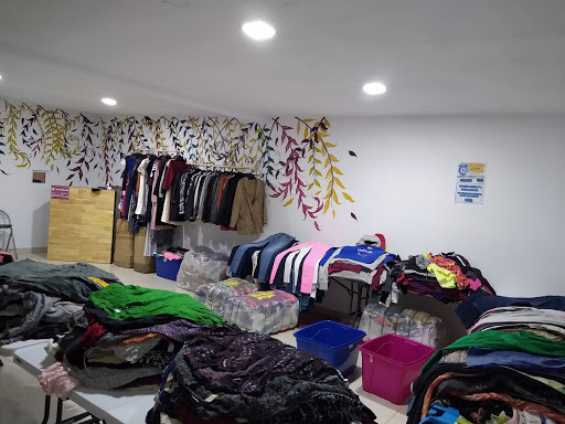 Fundación GABS - Thumbnail
