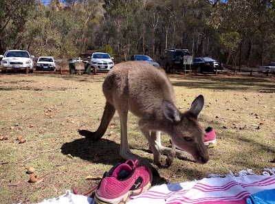 Photos of Serpentine National Park