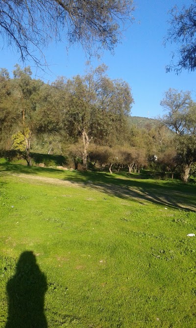 Photos of Parque Los Naranjos de Hijuelas