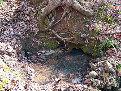 Rattlesnake spring - Visual