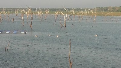 Photos of Lake View Park