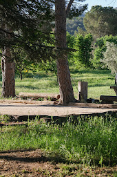 Photo n°8 de MAS Élancia à Argelès-sur-Mer (Magasin de produits de la ferme)
