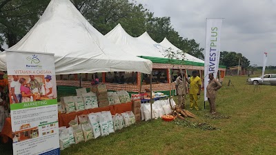 Photos of Purity FM