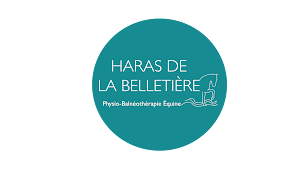 Photo n°17 de Haras De La Belletière à Mélicourt (Écurie)