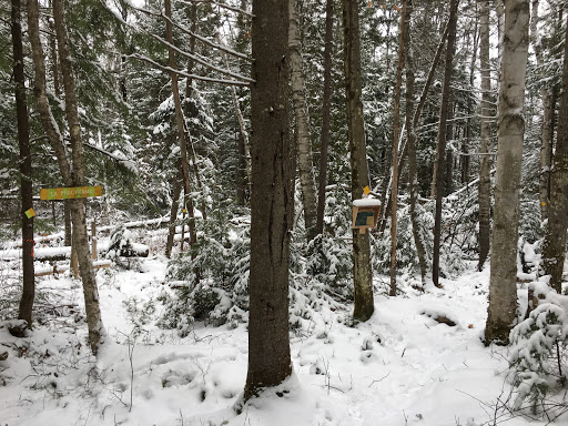 Club de ski de fond de labelle