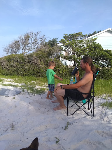 Dolphin Watch - Visual