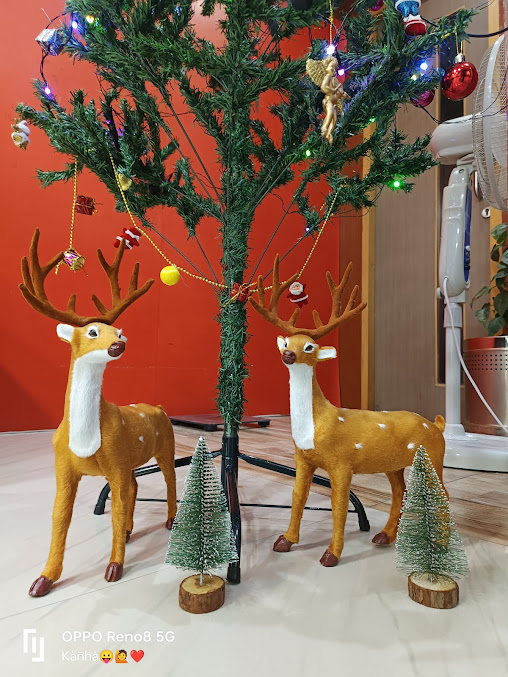 Af1qipootdisoxnbes82ujnjpiyieed0vi7ekvgbkdga=s677 K No