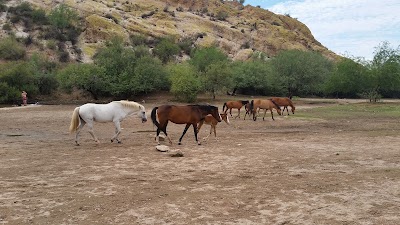 Photos of Butcher Jones Recreation Site