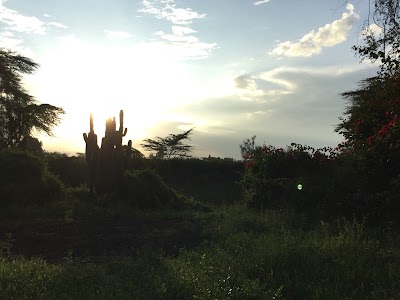 Photos of Naromuru Safari Camp