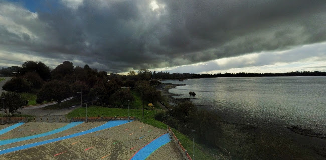 Costanera Lago Puyehue