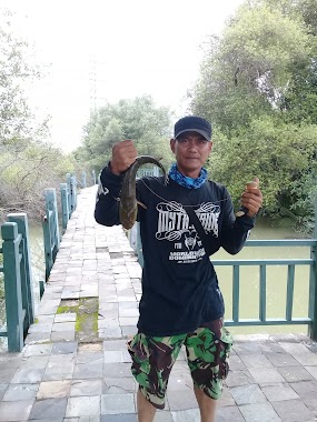 Casting Tarpon, Author: Farid Miftah