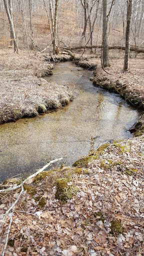Jewett Preserve - Thumbnail