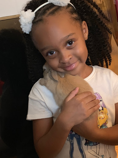 Braids4Kids - Thumbnail