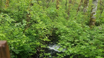 Bloom Lake Trail