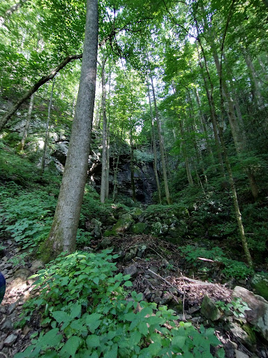 Pete's Branch Falls - Thumbnail