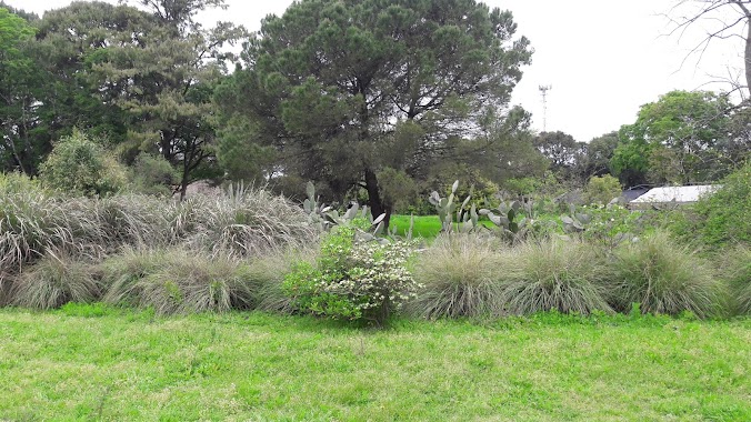 El Jardín Botánico Arturo E. Ragonese, Author: Federico Sosa